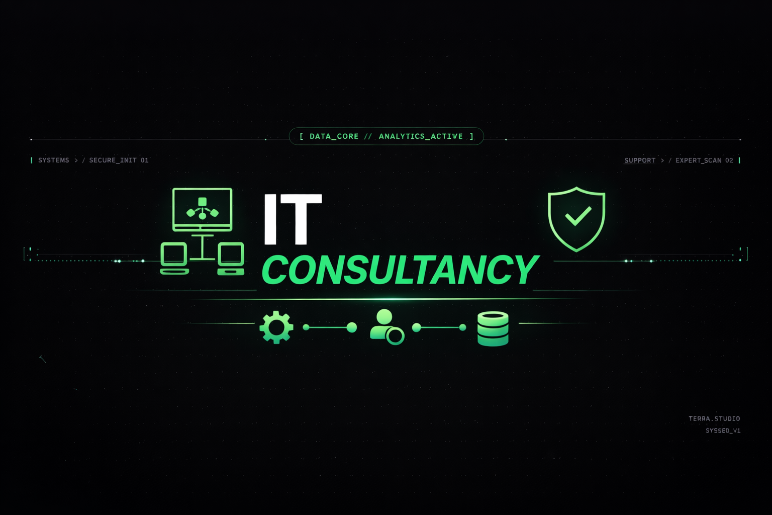 IT Consultancy